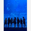 Image_20250716_123225_383