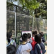 5a1f88af94c503a3-photo
