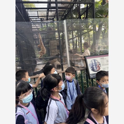 96f34a4c2bb6b834-photo