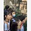7d7dd559e14145bb-photo