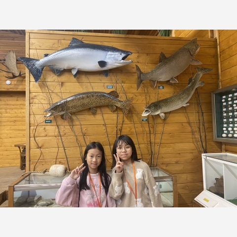 Image_20250428_082134_872