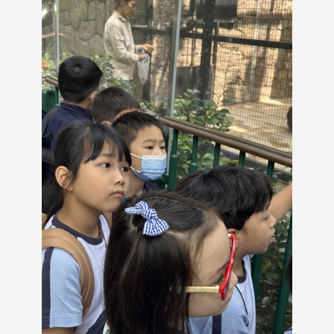 7d7dd559e14145bb-photo