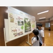 20230522第二屆全港小學野外大搜查學界比賽5