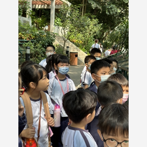 213712b564023b7b-photo