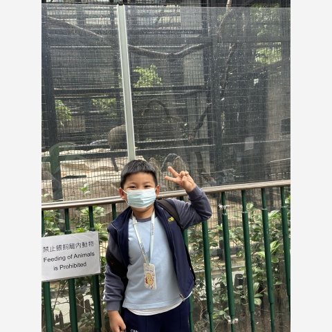 e5c40c85a30cc637-photo