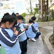 校園中草藥植物普查：在校園內尋找並記錄各種中草藥植物，認識它們的特性和用途，學習珍惜自然資源。