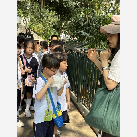 9f4ee5daa834e26c-photo
